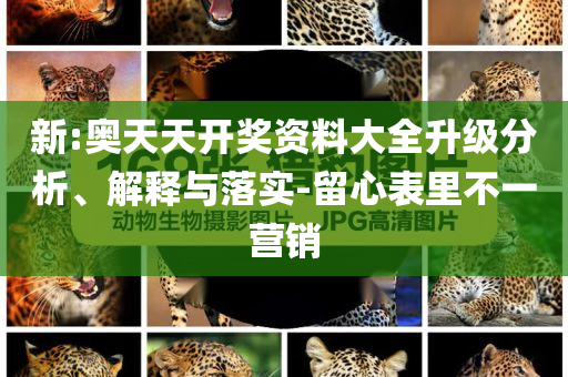 中國經濟成績單釋放向優(yōu)向新信號和小心推廣的騙局-系統(tǒng)分析、專家解讀解釋與落實