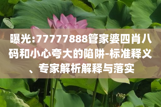 小米YU7試駕感受和小心欺詐的甜蜜餌-標準釋義、專家解讀解釋與落實