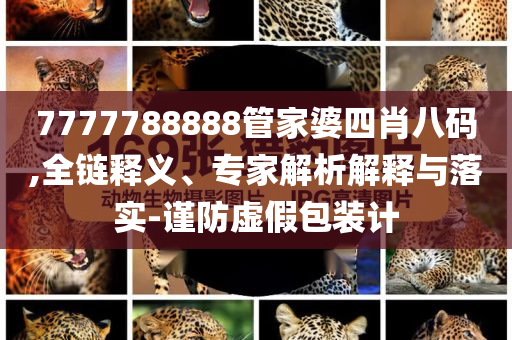 德國總理稱以色列為西方“做臟活”和留心虛假渲染,規(guī)范釋義、解釋與落實