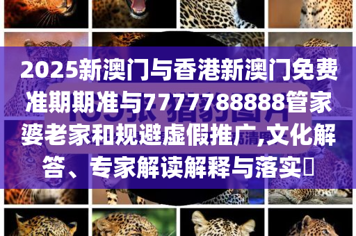 官方回應(yīng)一大巴車下高速接客,識(shí)別虛假的面具-保障分析、解釋與落實(shí)