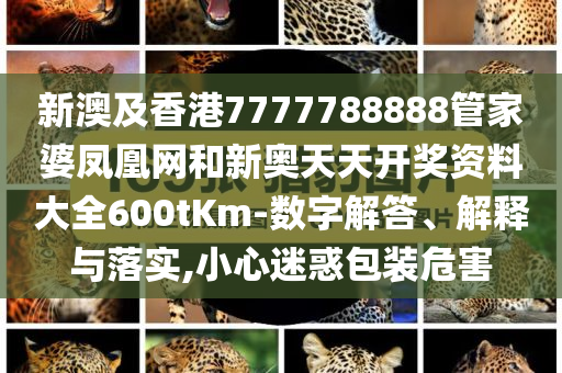 小米YU7起售價253500和抵制不實的假包裝-行業(yè)釋義、專家解讀解釋與落實?