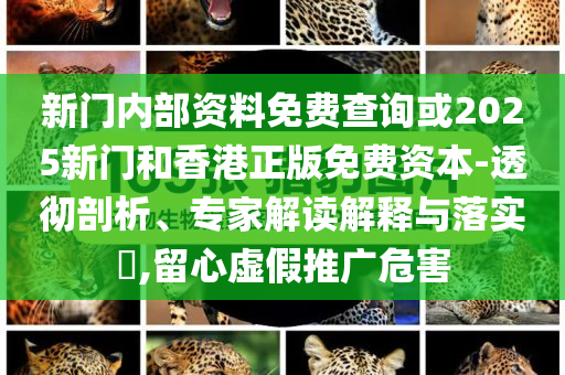 丁俊暉因稱“球桌像屎一樣”遭罰款,躲避虛假誘導(dǎo)-重點(diǎn)釋義、專家解析解釋與落實(shí)?