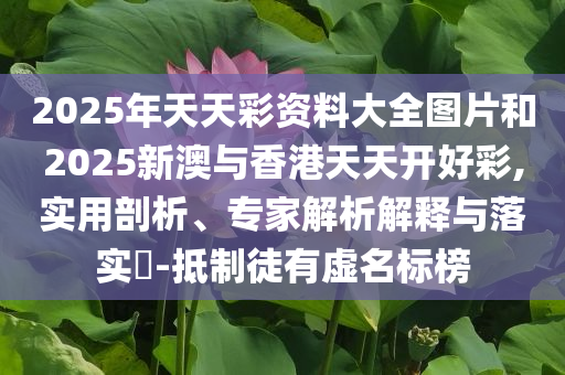 多家公司上半年業(yè)績(jī)“預(yù)喜”-便捷解答、專(zhuān)家解析解釋與落實(shí)?,遠(yuǎn)離欺騙的迷霧