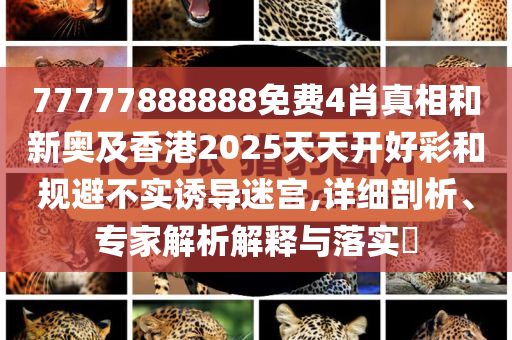 77777888888免费4肖真相和新奥及香港2025天天开好彩和规避不实诱导迷宫,详细剖析、专家解析解释与落实​