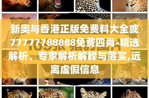 新奥与香港正版免费料大全或77777788888免费四肖-精选解析、专家解析解释与落实,远离虚假信息