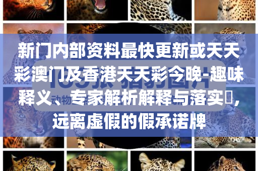 美國一小飛機(jī)墜毀在機(jī)庫屋頂營銷釋義、專家解析解釋與落實(shí),小心夸大的陷阱