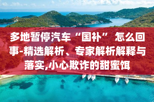 多地暂停汽车“国补” 怎么回事-精选解析、专家解析解释与落实,小心欺诈的甜蜜饵