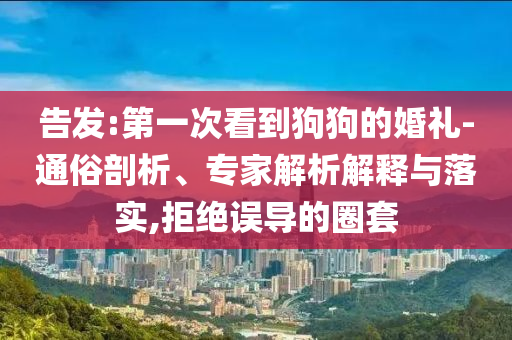 告发:第一次看到狗狗的婚礼-通俗剖析、专家解析解释与落实,拒绝误导的圈套