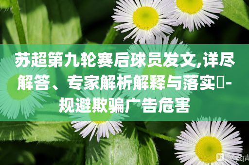 苏超第九轮赛后球员发文,详尽解答、专家解析解释与落实​-规避欺骗广告危害