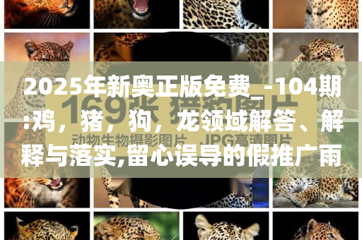 2025年新奥正版免费_-104期:鸡，猪，狗，龙领域解答、解释与落实,留心误导的假推广雨
