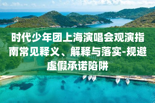 时代少年团上海演唱会观演指南常见释义、解释与落实-规避虚假承诺陷阱