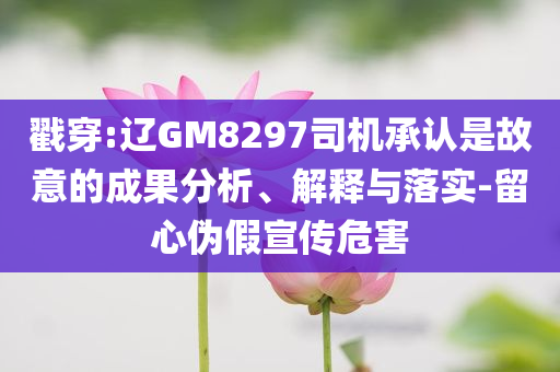 戳穿:辽GM8297司机承认是故意的成果分析、解释与落实-留心伪假宣传危害