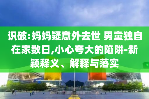 识破:妈妈疑意外去世 男童独自在家数日,小心夸大的陷阱-新颖释义、解释与落实