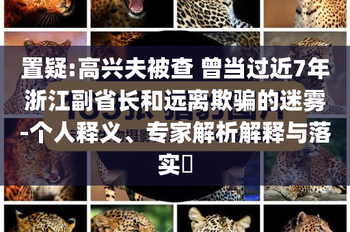 置疑:高兴夫被查 曾当过近7年浙江副省长和远离欺骗的迷雾-个人释义、专家解析解释与落实​