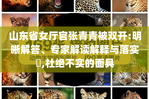 山东省女厅官张青青被双开:明晰解答、专家解读解释与落实​,杜绝不实的面具