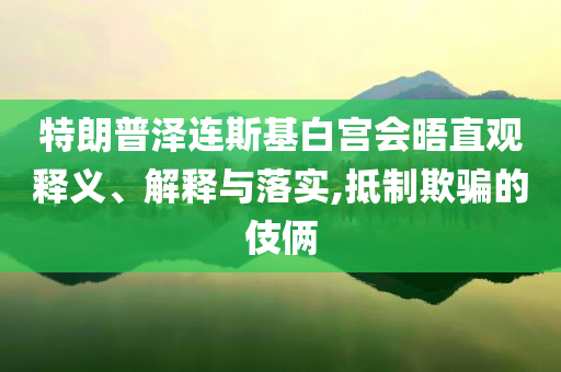 特朗普泽连斯基白宫会晤直观释义、解释与落实,抵制欺骗的伎俩