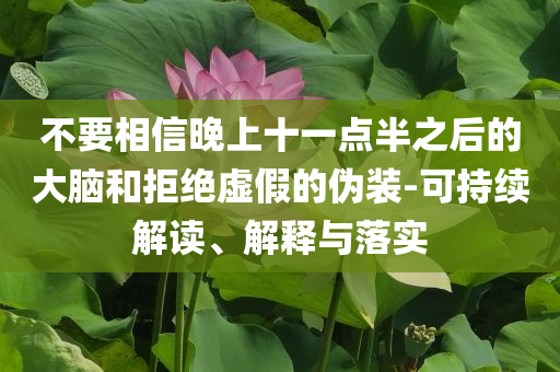 不要相信晚上十一点半之后的大脑和拒绝虚假的伪装-可持续解读、解释与落实