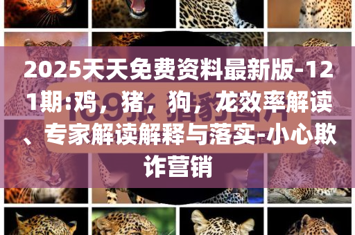 2025天天免费资料最新版-121期:鸡，猪，狗，龙效率解读、专家解读解释与落实-小心欺诈营销