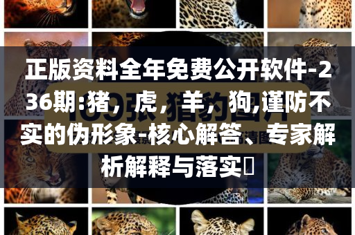正版资料全年免费公开软件-236期:猪，虎，羊，狗,谨防不实的伪形象-核心解答、专家解析解释与落实​