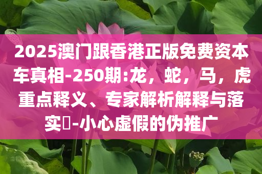 2025澳门跟香港正版免费资本车真相-250期:龙，蛇，马，虎重点释义、专家解析解释与落实​-小心虚假的伪推广