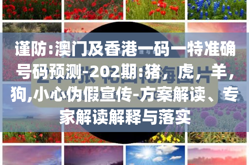 谨防:澳门及香港一码一特准确号码预测-202期:猪，虎，羊，狗,小心伪假宣传-方案解读、专家解读解释与落实