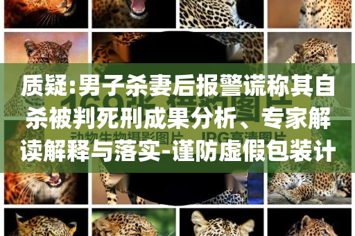 质疑:男子杀妻后报警谎称其自杀被判死刑成果分析、专家解读解释与落实-谨防虚假包装计