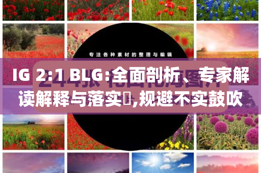 IG 2:1 BLG:全面剖析、专家解读解释与落实​,规避不实鼓吹