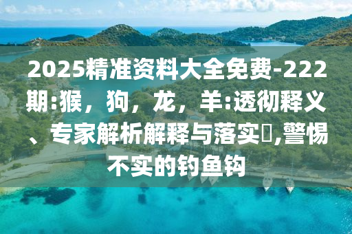 2025精准资料大全免费-222期:猴，狗，龙，羊:透彻释义、专家解析解释与落实​,警惕不实的钓鱼钩