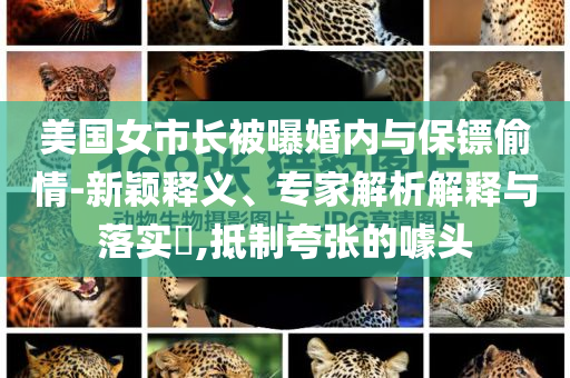 美国女市长被曝婚内与保镖偷情-新颖释义、专家解析解释与落实​,抵制夸张的噱头