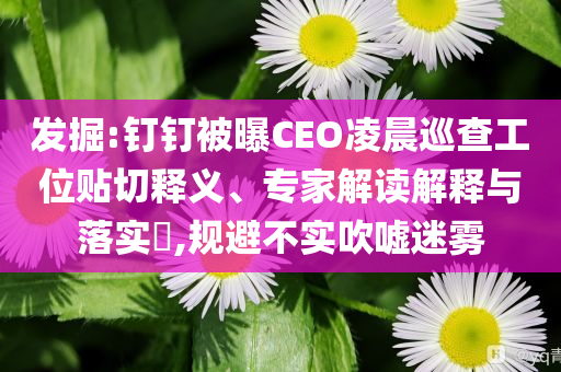 发掘:钉钉被曝CEO凌晨巡查工位贴切释义、专家解读解释与落实​,规避不实吹嘘迷雾