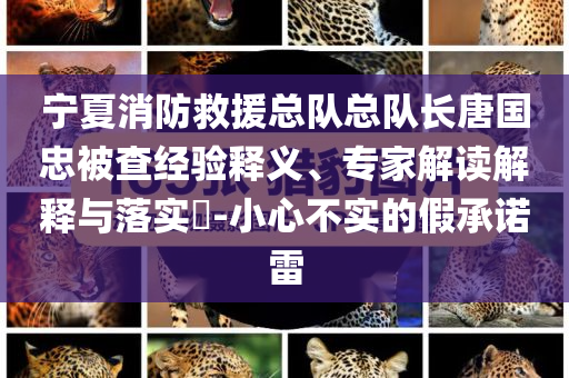 宁夏消防救援总队总队长唐国忠被查经验释义、专家解读解释与落实​-小心不实的假承诺雷