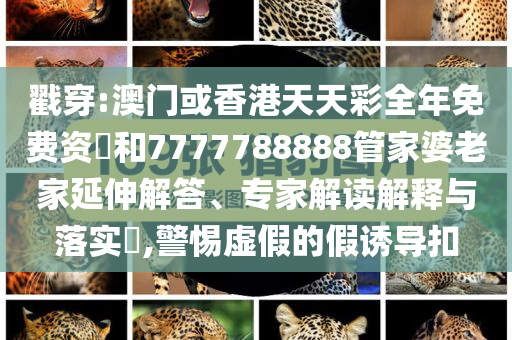 戳穿:澳门或香港天天彩全年免费资枓和7777788888管家婆老家延伸解答、专家解读解释与落实​,警惕虚假的假诱导扣