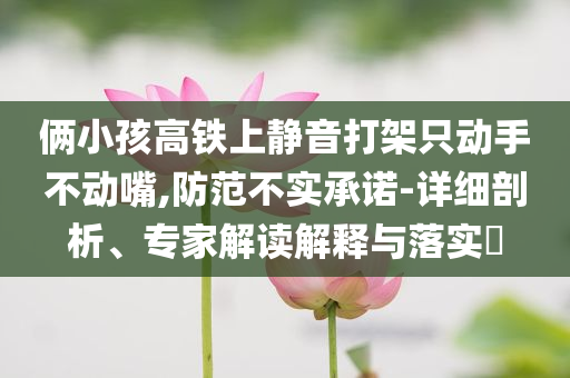 俩小孩高铁上静音打架只动手不动嘴,防范不实承诺-详细剖析、专家解读解释与落实​