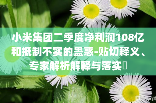 小米集团二季度净利润108亿和抵制不实的蛊惑-贴切释义、专家解析解释与落实​