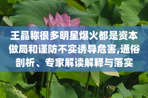 王晶称很多明星爆火都是资本做局和谨防不实诱导危害,通俗剖析、专家解读解释与落实