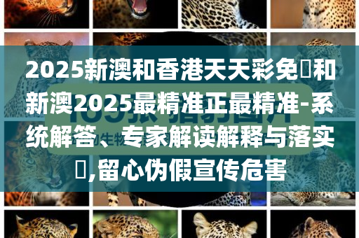 2025新澳和香港天天彩免費和新澳2025最精准正最精准-系统解答、专家解读解释与落实​,留心伪假宣传危害