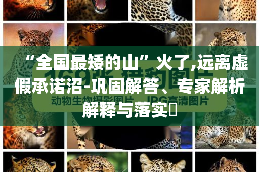 “全国最矮的山”火了,远离虚假承诺沼-巩固解答、专家解析解释与落实​