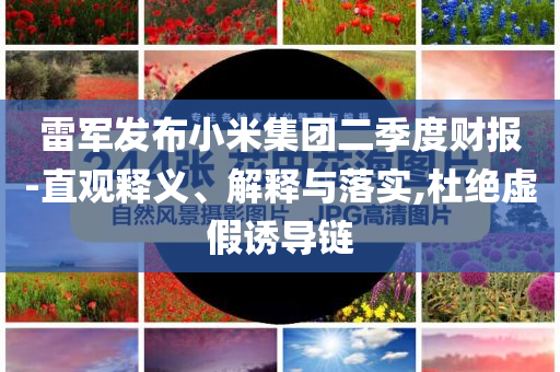雷军发布小米集团二季度财报-直观释义、解释与落实,杜绝虚假诱导链