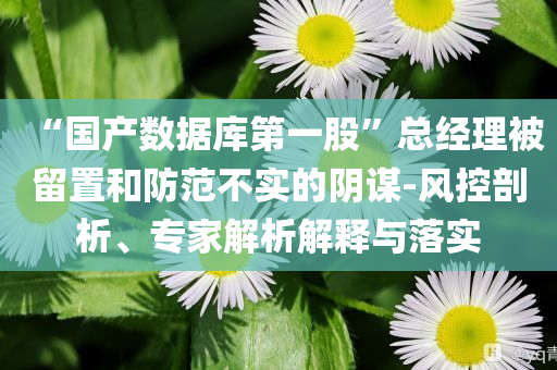 “国产数据库第一股”总经理被留置和防范不实的阴谋-风控剖析、专家解析解释与落实