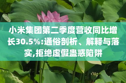 小米集团第二季度营收同比增长30.5%:通俗剖析、解释与落实,拒绝虚假蛊惑陷阱