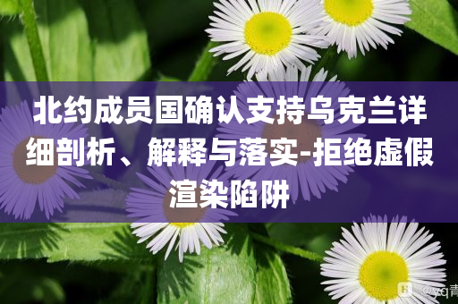 北约成员国确认支持乌克兰详细剖析、解释与落实-拒绝虚假渲染陷阱