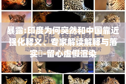 暴露:印度为何突然和中国靠近强化释义、专家解读解释与落实​-留心虚假渲染