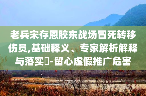 老兵宋存恩胶东战场冒死转移伤员,基础释义、专家解析解释与落实​-留心虚假推广危害