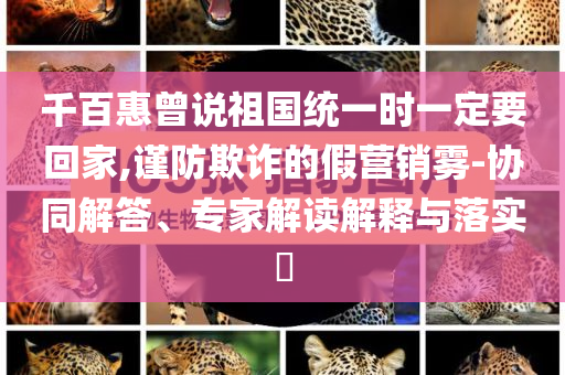 千百惠曾说祖国统一时一定要回家,谨防欺诈的假营销雾-协同解答、专家解读解释与落实​