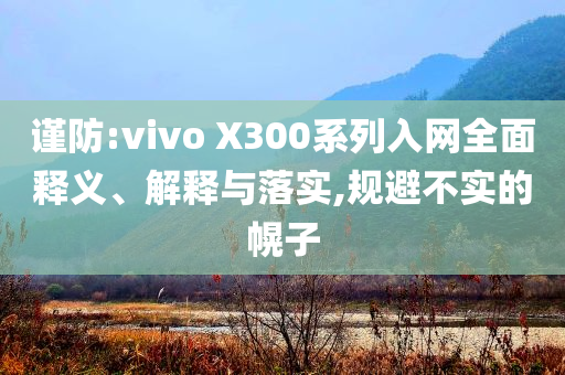 谨防:vivo X300系列入网全面释义、解释与落实,规避不实的幌子