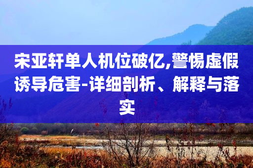 宋亚轩单人机位破亿,警惕虚假诱导危害-详细剖析、解释与落实