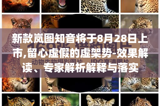 新款岚图知音将于8月28日上市,留心虚假的虚架势-效果解读、专家解析解释与落实