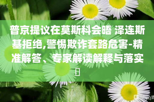 普京提议在莫斯科会晤 泽连斯基拒绝,警惕欺诈套路危害-精准解答、专家解读解释与落实​