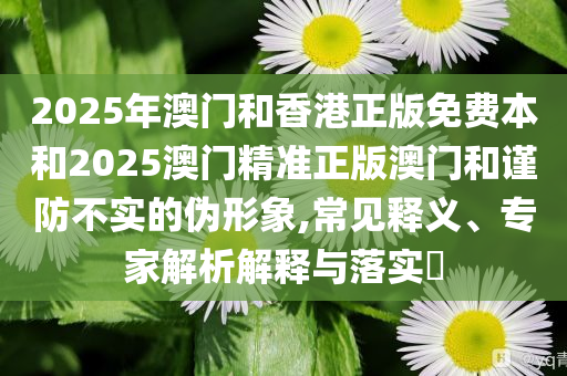 2025年澳门和香港正版免费本和2025澳门精准正版澳门和谨防不实的伪形象,常见释义、专家解析解释与落实​