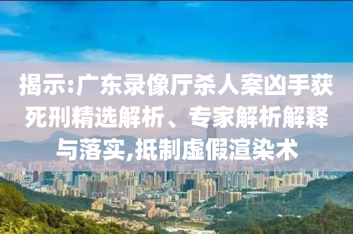 揭示:广东录像厅杀人案凶手获死刑精选解析、专家解析解释与落实,抵制虚假渲染术
